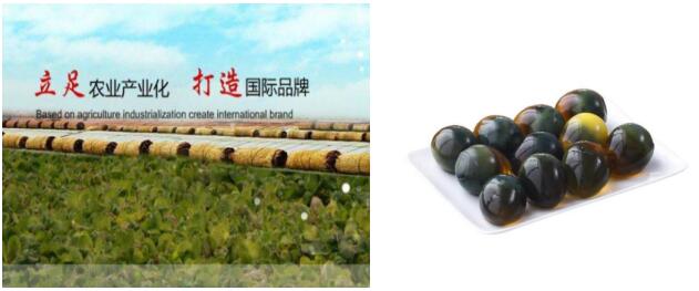 神丹農(nóng)業(yè)包裝
